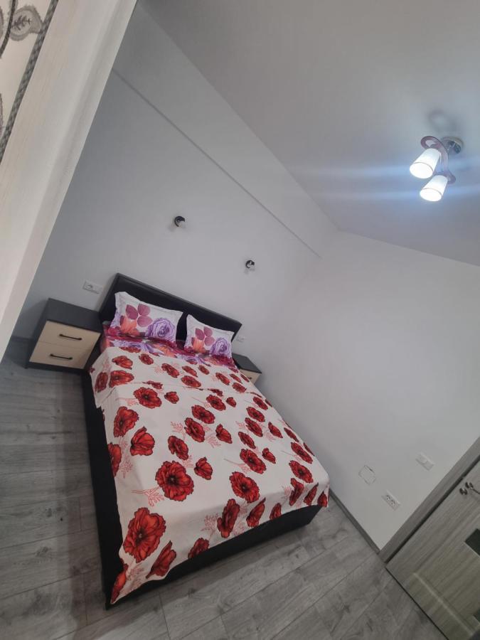 Mihaela Apartment Ramnicu Valcea